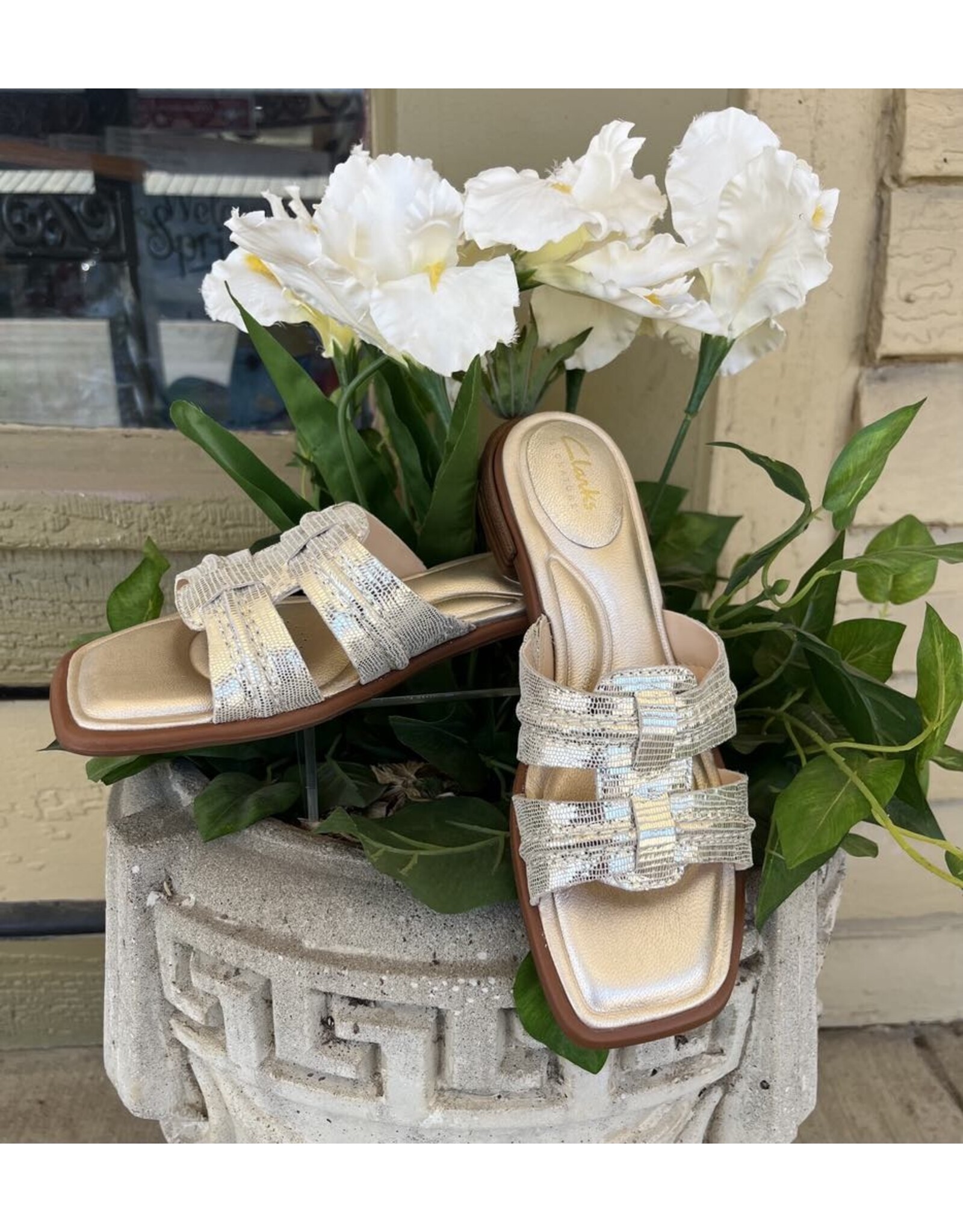 Clarks Clarks Ariany Mule Champagne Interest