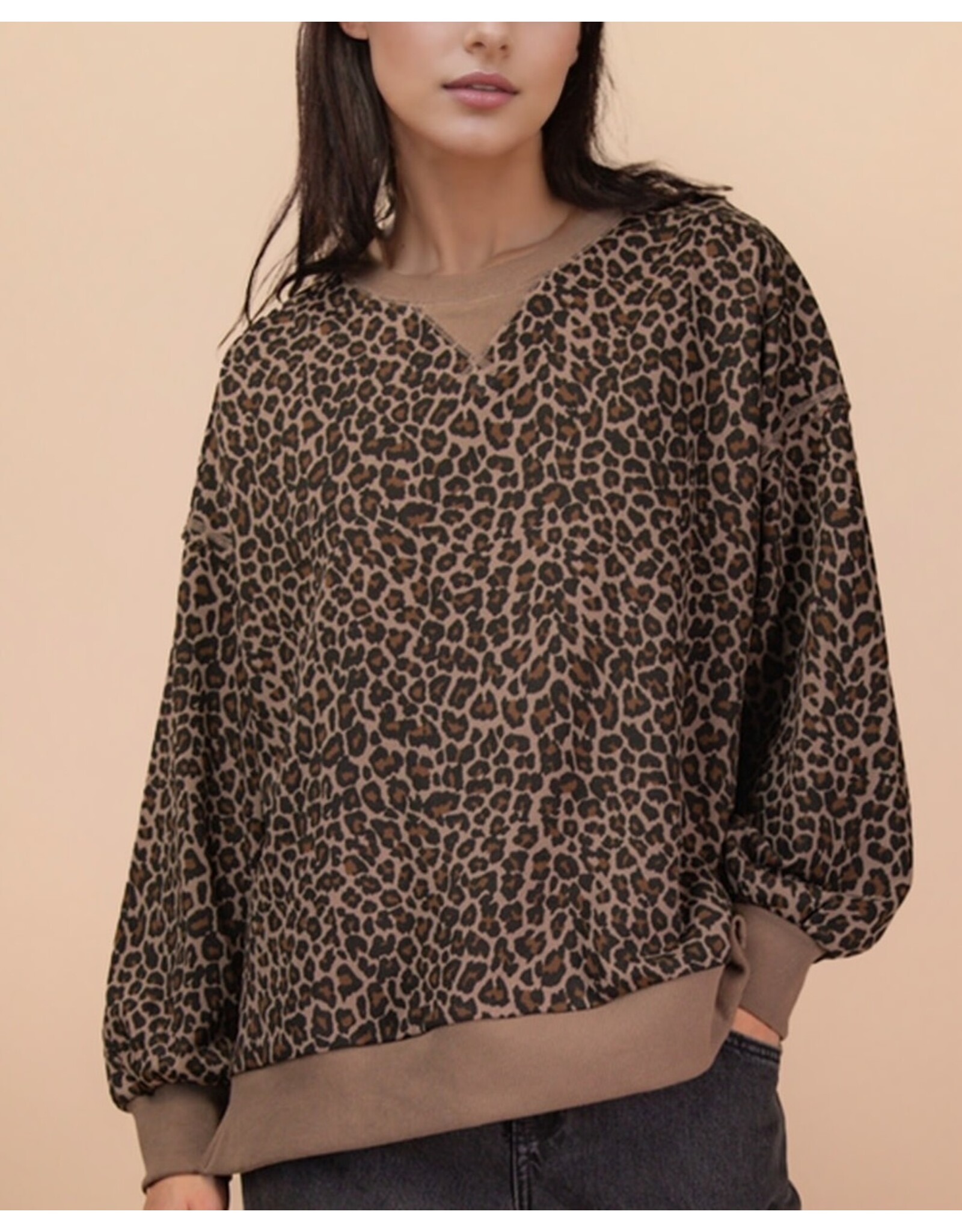 Cocoa Leopard Knit Casual Top