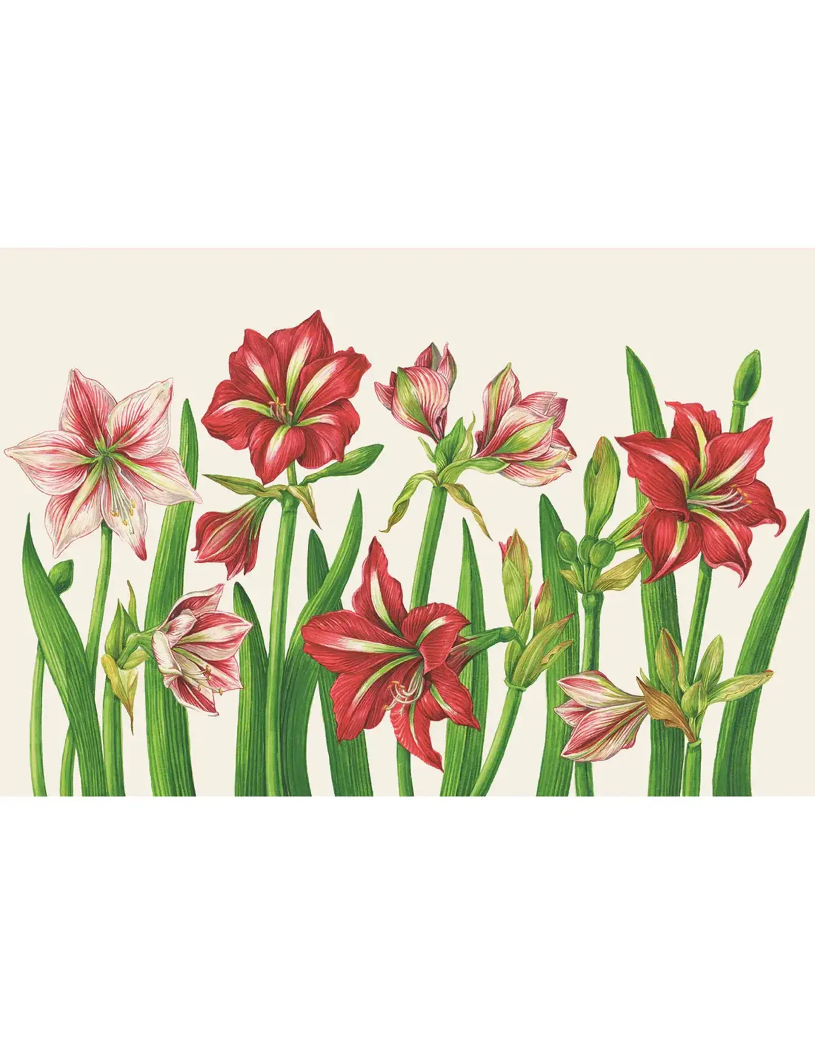 Hester & Cook Amaryllis Blooms Placemat