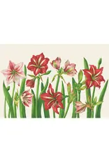 Hester & Cook Amaryllis Blooms Placemat