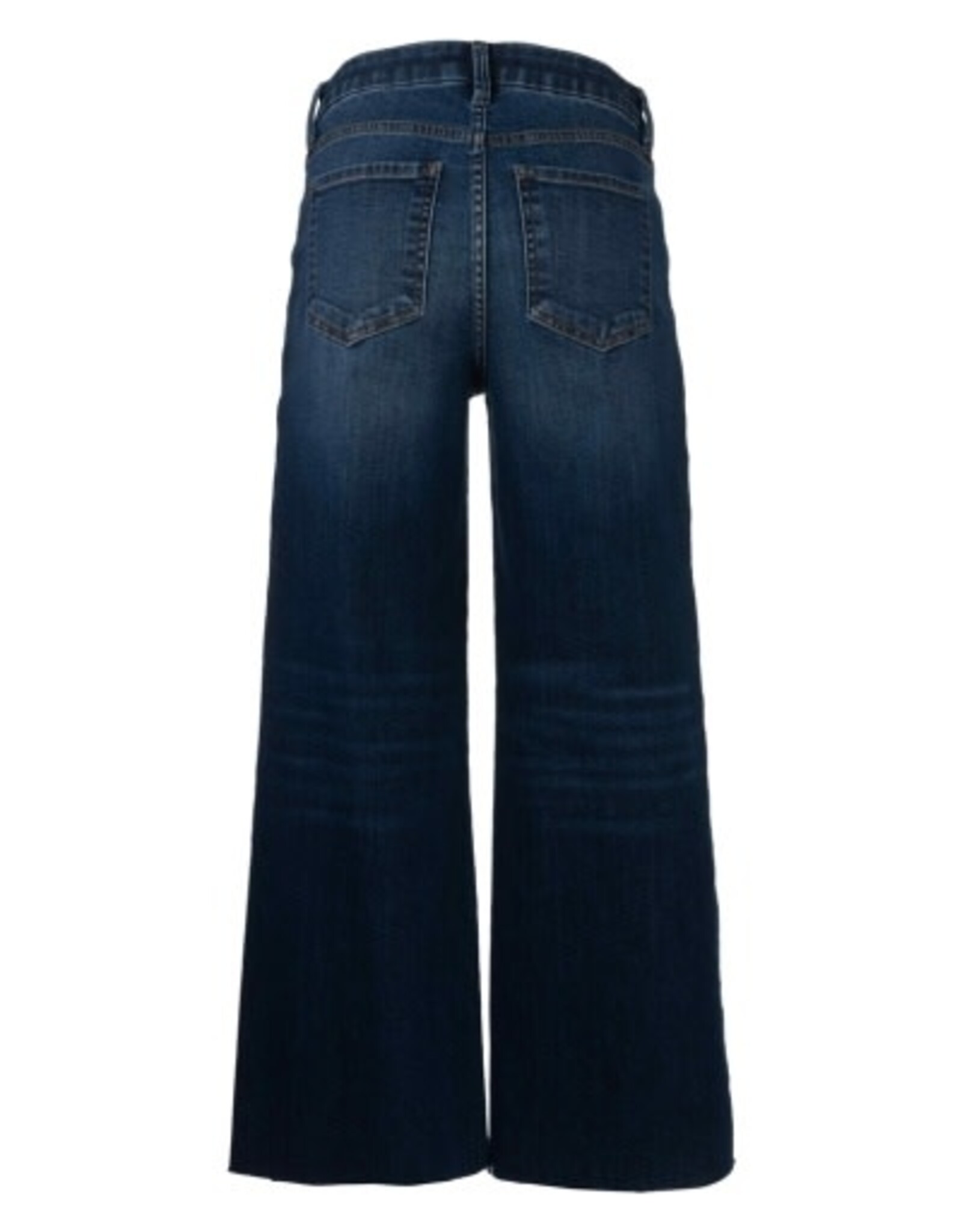 Kut from the Kloth / STS Blue KUT Meg High Rise Fab Ab Wide Leg Raw Hem Jean