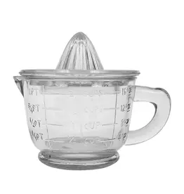 Glass Juicer