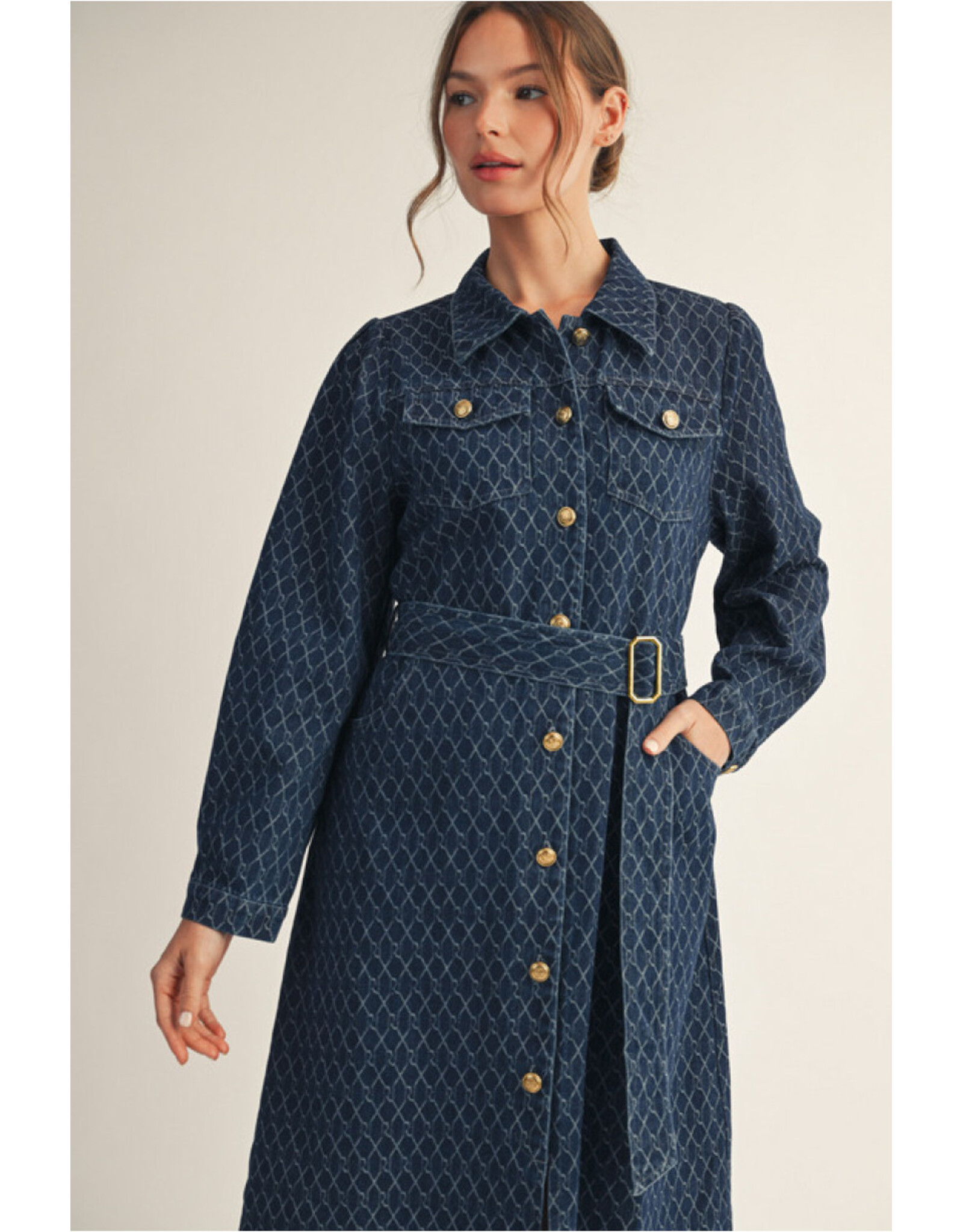 Halley Denim Midi Dress