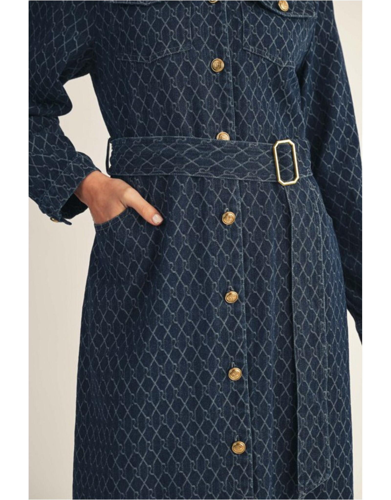 Halley Denim Midi Dress