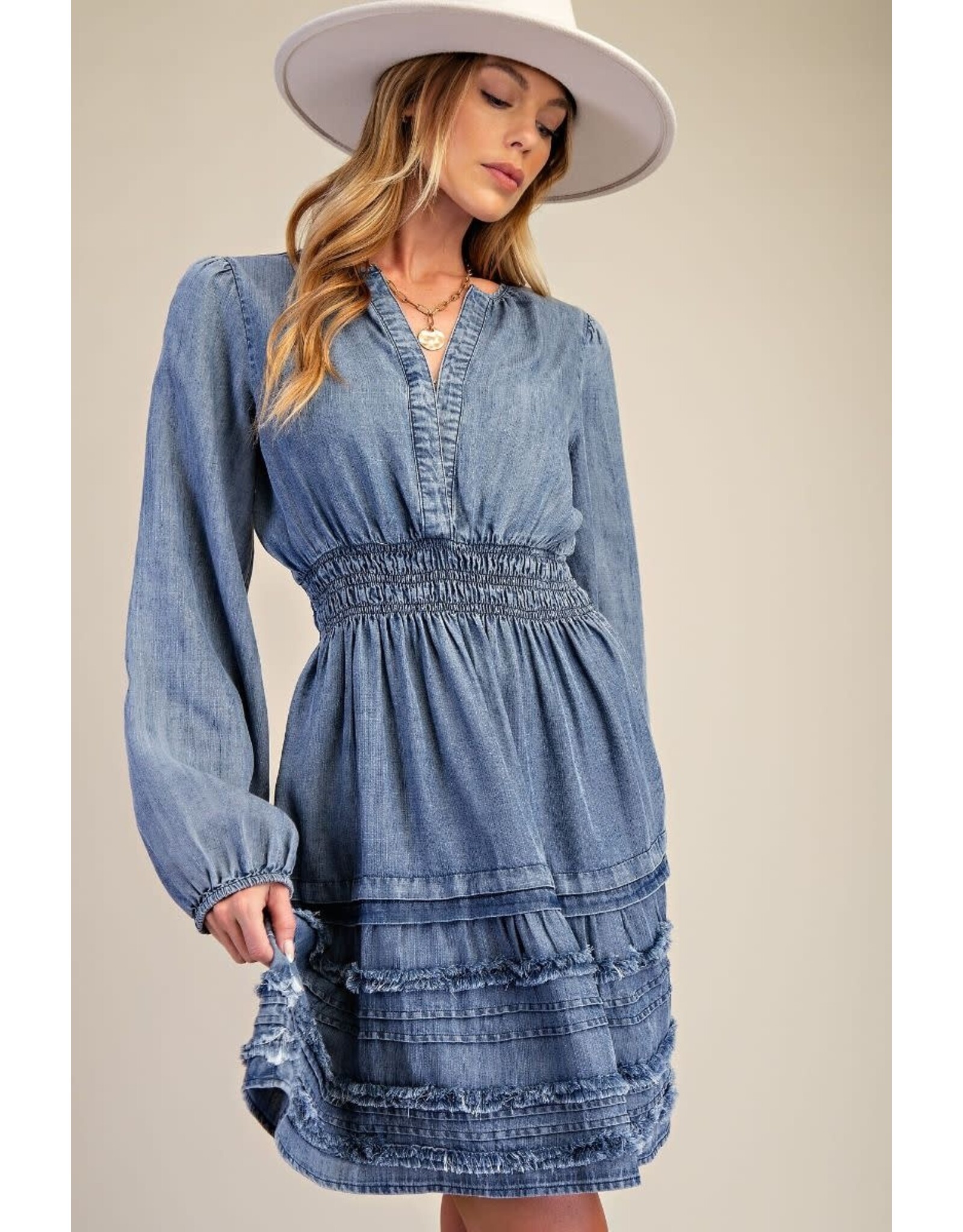 Teressa Tencel Blue Denim Dress
