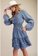 Teressa Tencel Blue Denim Dress