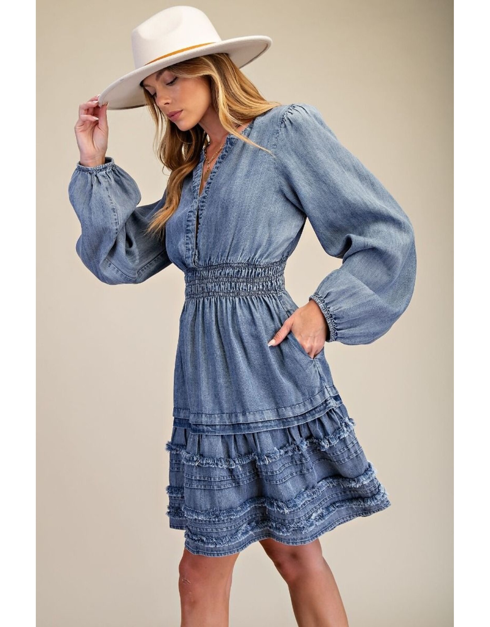 Teressa Tencel Blue Denim Dress
