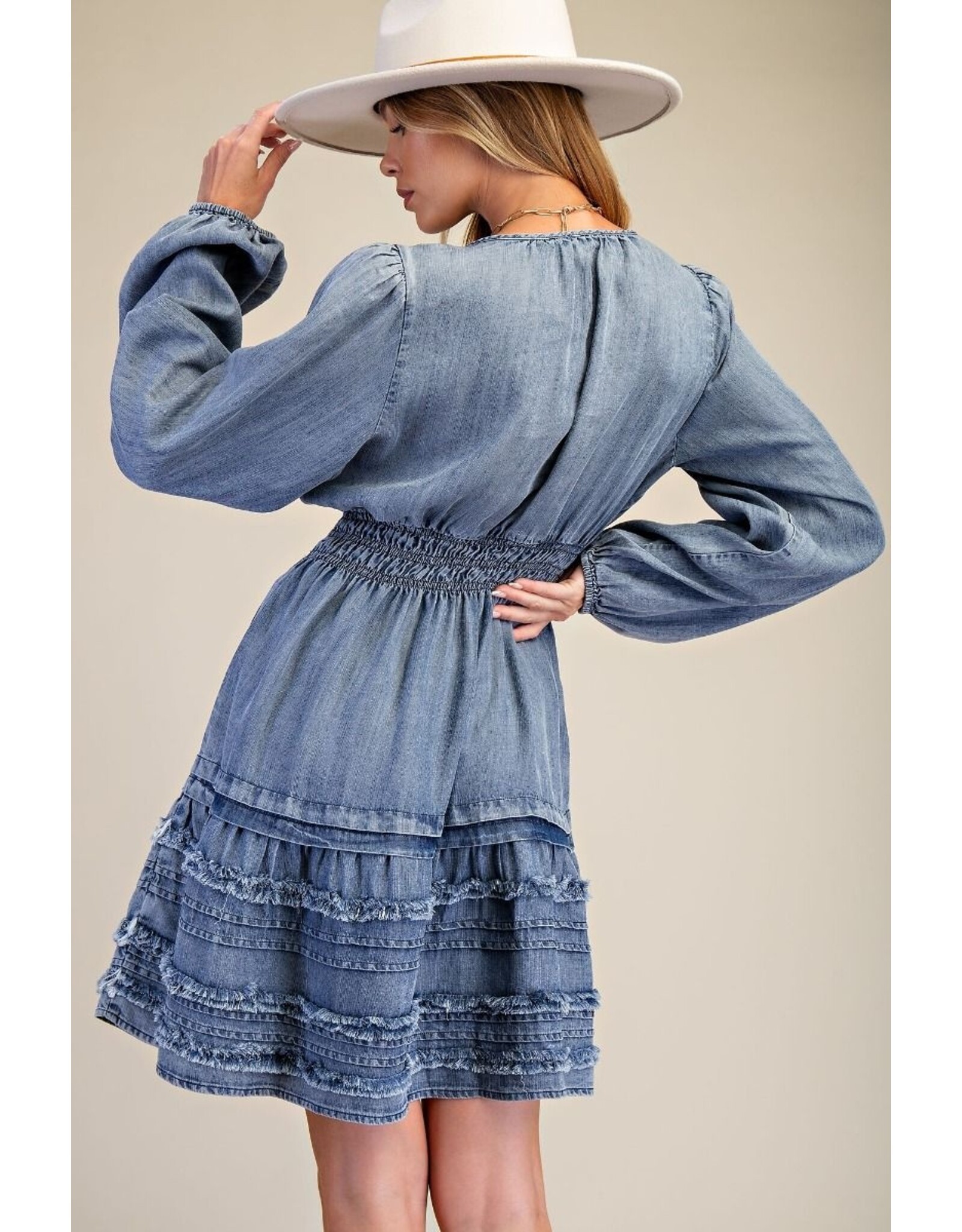 Teressa Tencel Blue Denim Dress