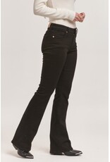 Dear John Denim Dear John Jaxtyn Bootcut Jeans - Black Olive