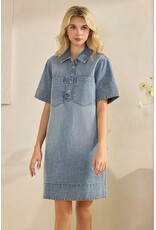 Luna Denim Dress