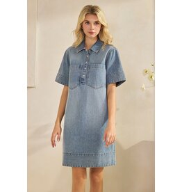 Luna Denim Dress