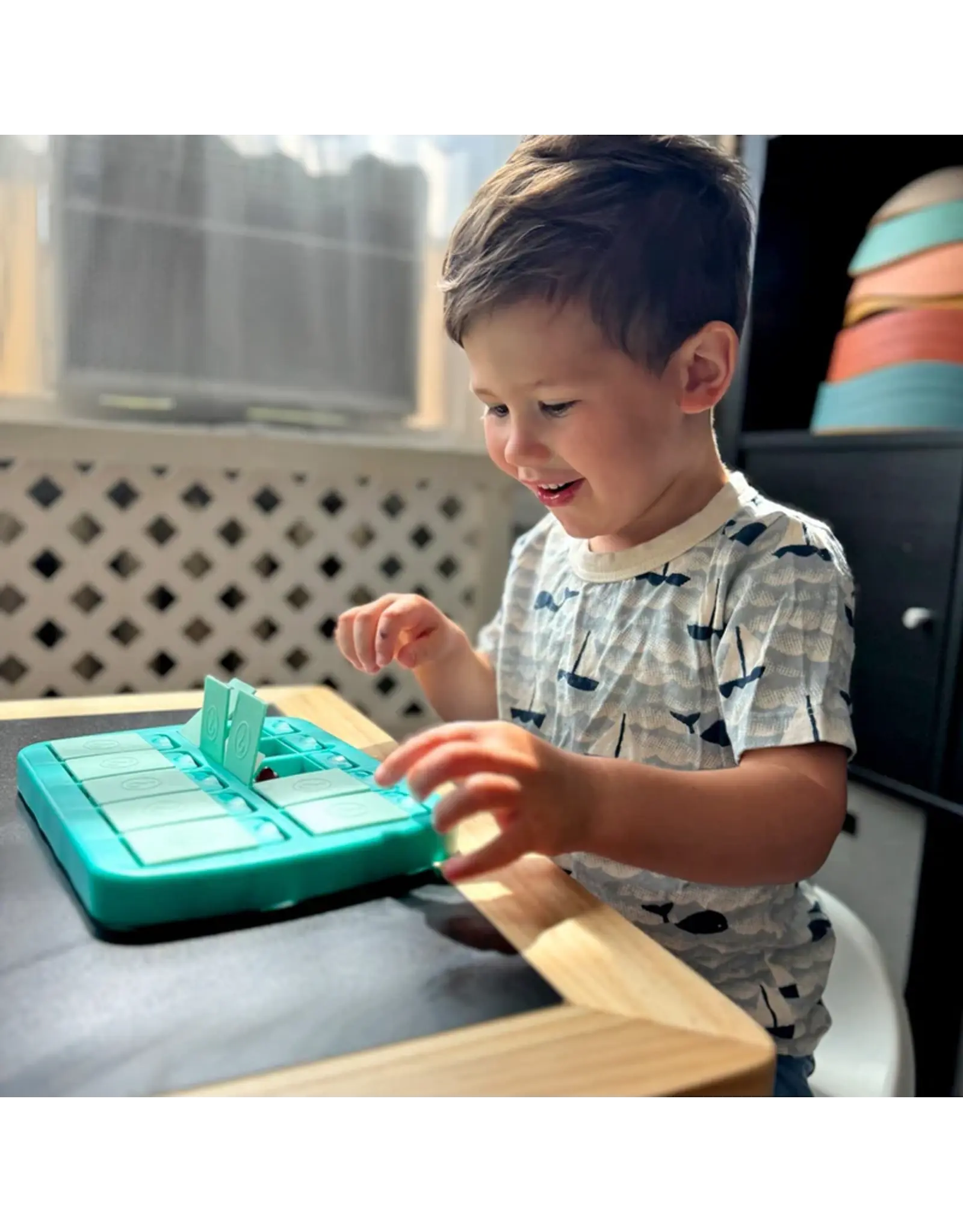 Mini Match Up Memory Game