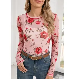 Rose Exposed Seam Mesh Long Sleeve Top