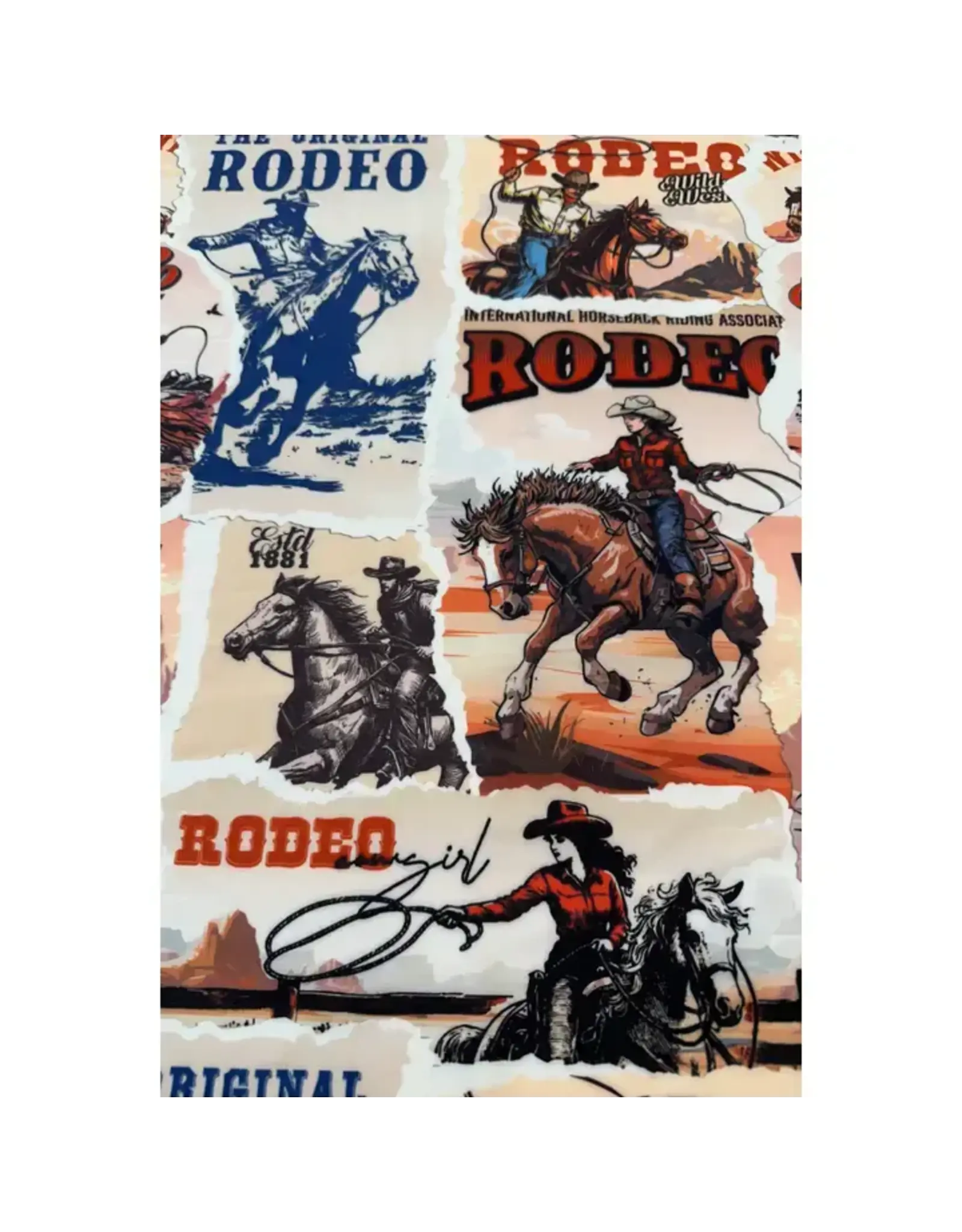 Rodeo Print Scarf