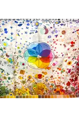 XOXO Color Wheel Shorty