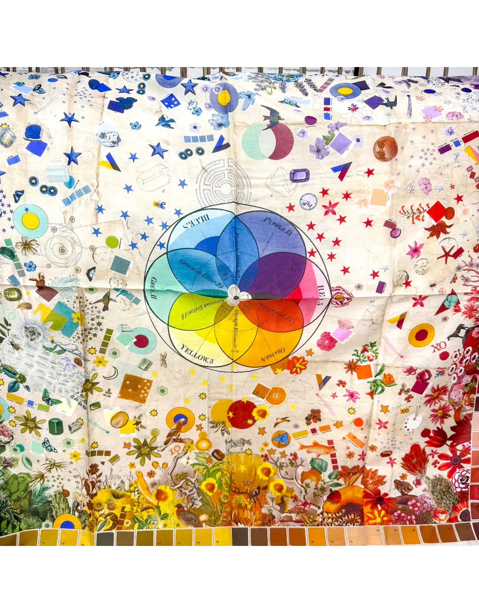 XOXO Color Wheel Shorty