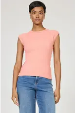 Dear John Denim Dear John Kiyomi Reverse Seam Raglan Tee Terracotta