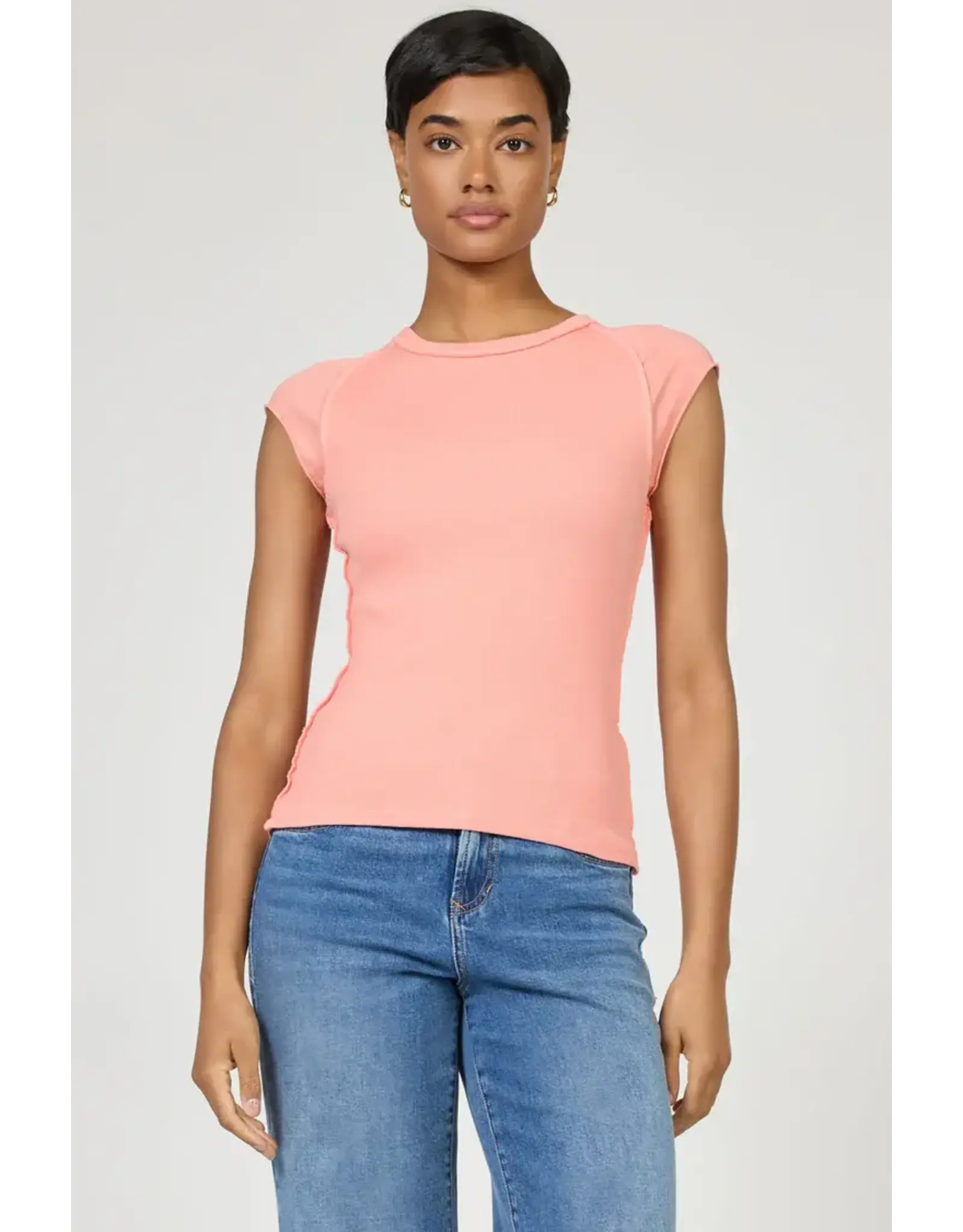 Dear John Denim Dear John Kiyomi Reverse Seam Raglan Tee Terracotta