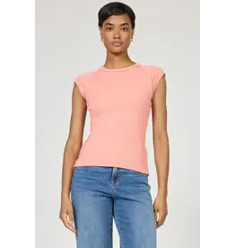 Dear John Denim Dear John Kiyomi Reverse Seam Raglan Tee Terracotta