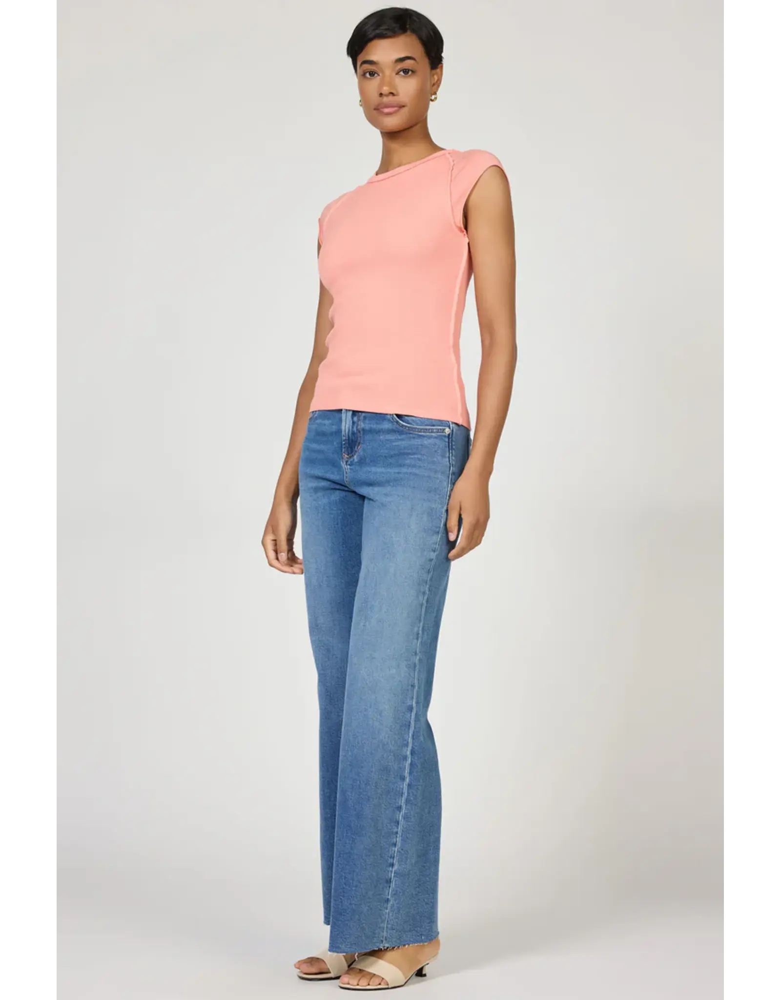 Dear John Denim Dear John Kiyomi Reverse Seam Raglan Tee Terracotta