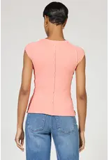 Dear John Denim Dear John Kiyomi Reverse Seam Raglan Tee Terracotta