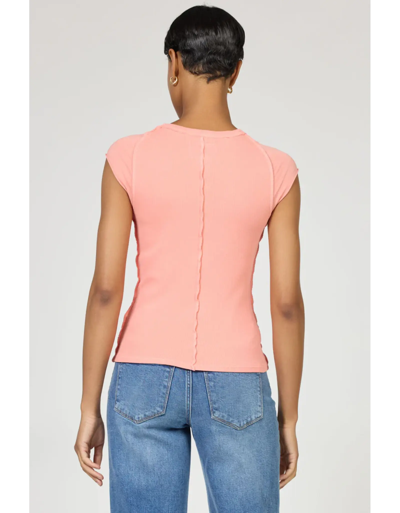 Dear John Denim Dear John Kiyomi Reverse Seam Raglan Tee Terracotta