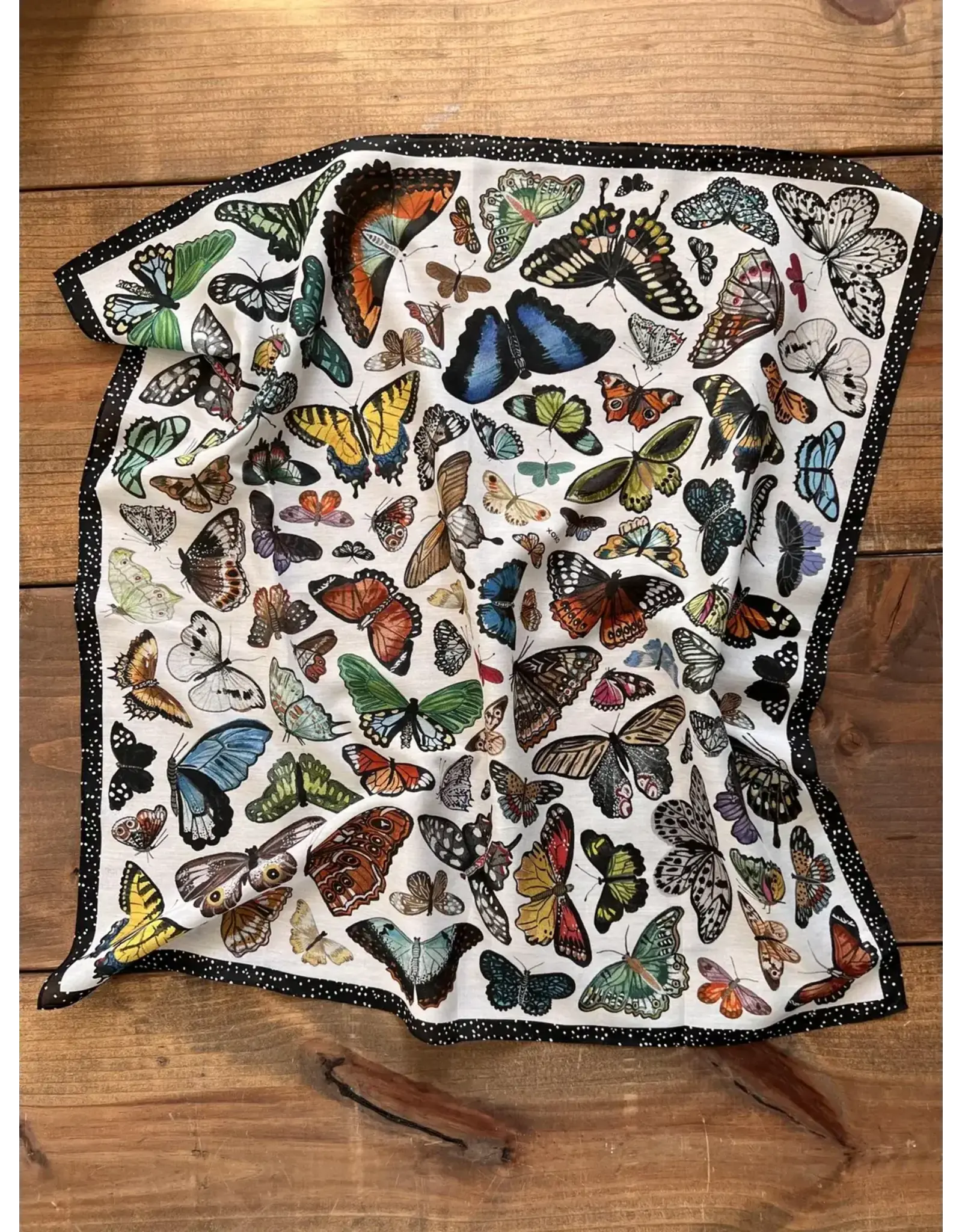 XOXO Butterflies Shortty