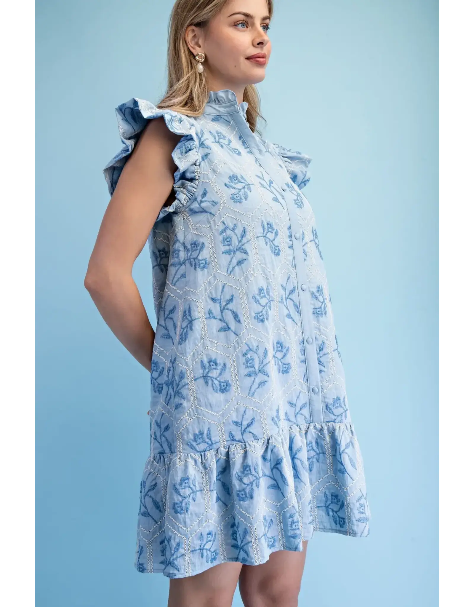 Bonnie Embroidered Button Down Dress Sky