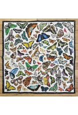 XOXO Butterflies Shortty