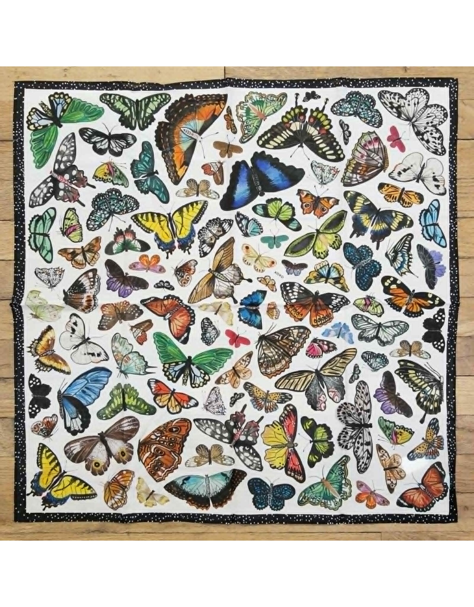 XOXO Butterflies Shortty