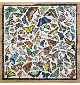 XOXO Butterflies Shortty