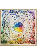 XOXO Color Wheel Shorty