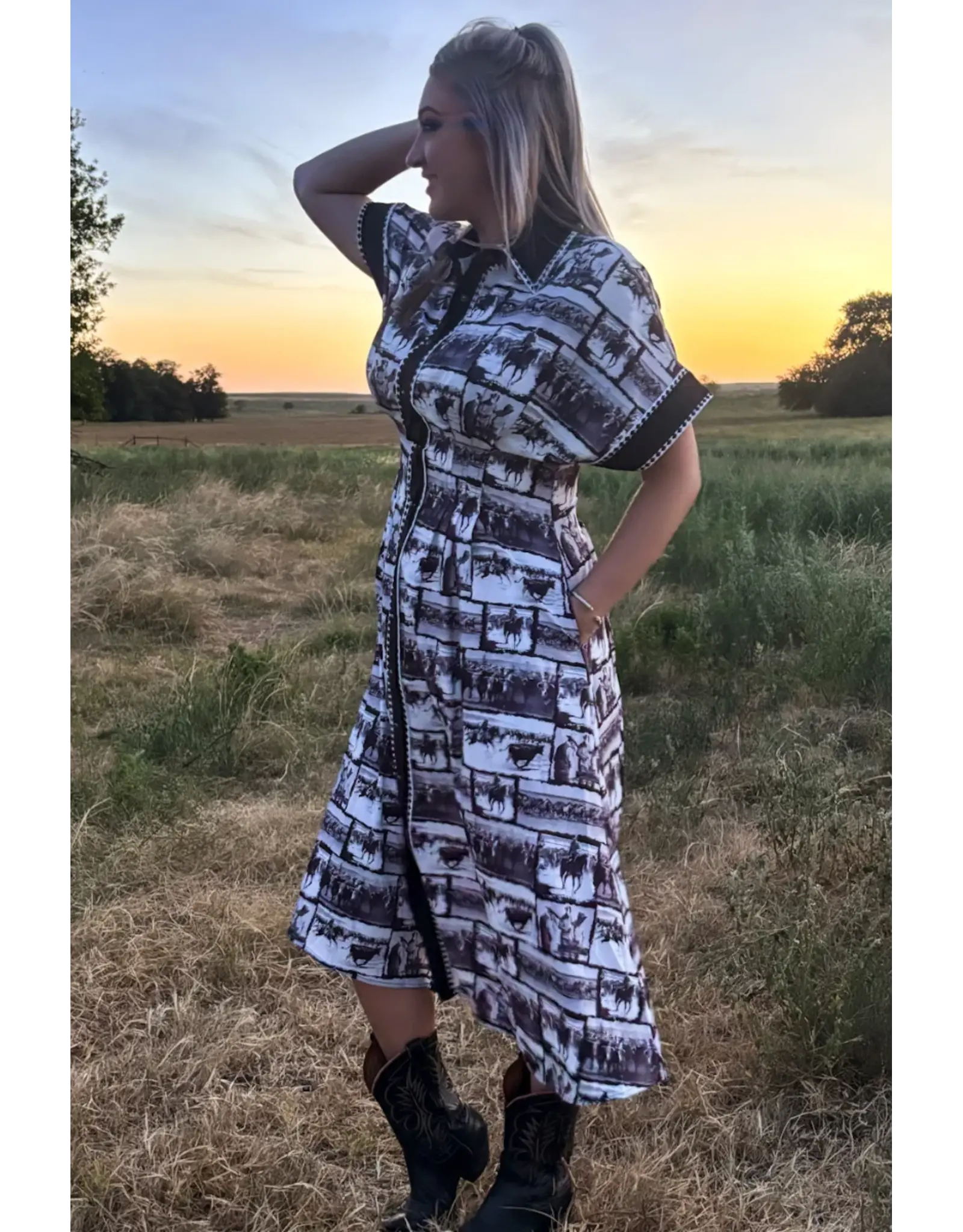 Ranch Sketch Dress