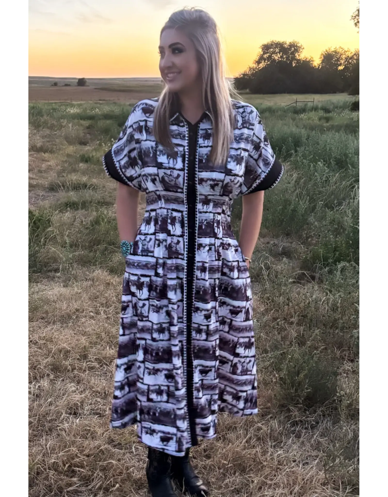 Ranch Sketch Dress