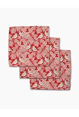 Geometry Cardinal Canopy Dishcloth Set