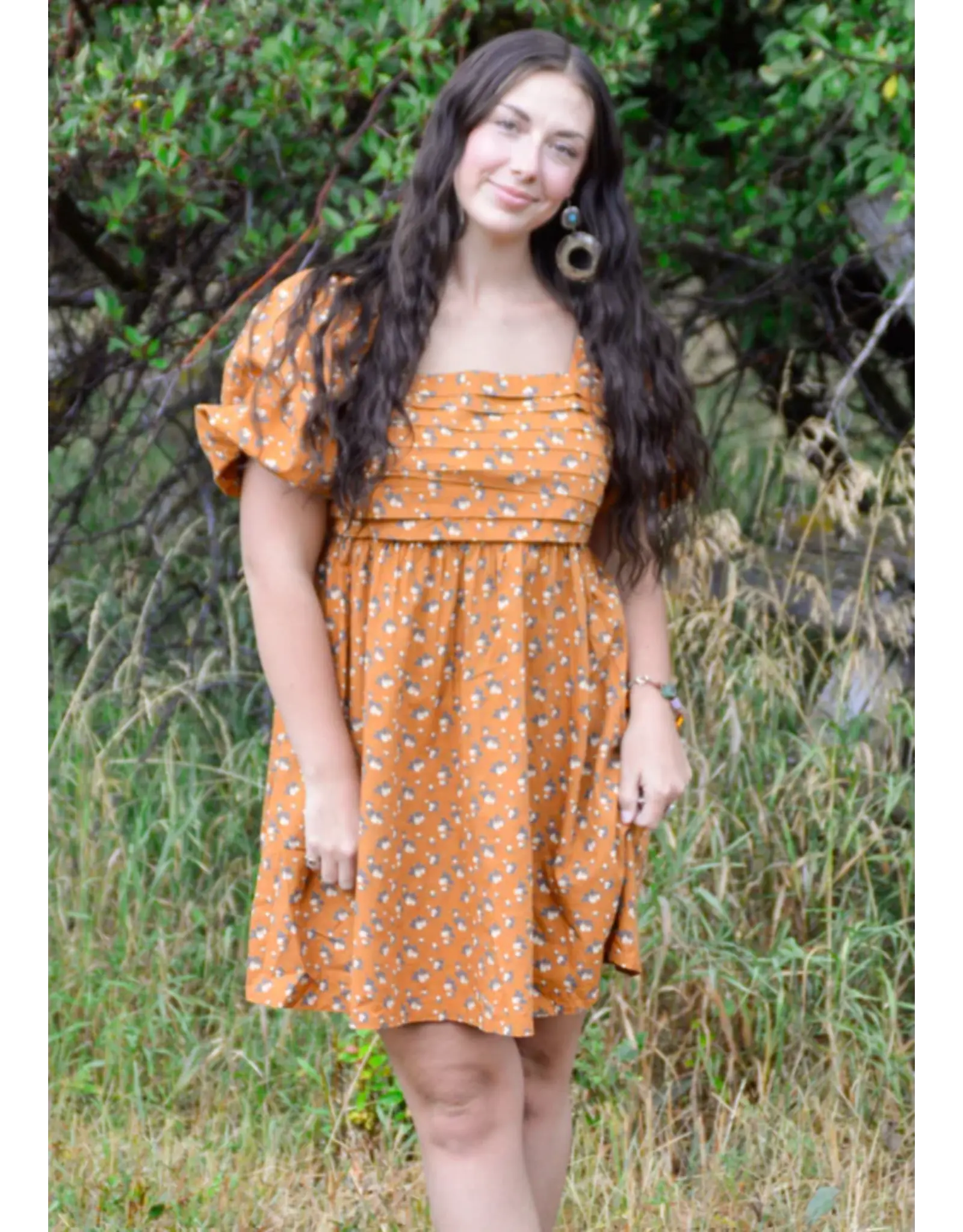 The Darling Clementine Dress