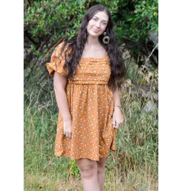 The Darling Clementine Dress