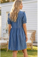 Nerissa Tencel Pearl Snap Dress