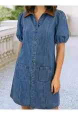 Palmer Denim Dress
