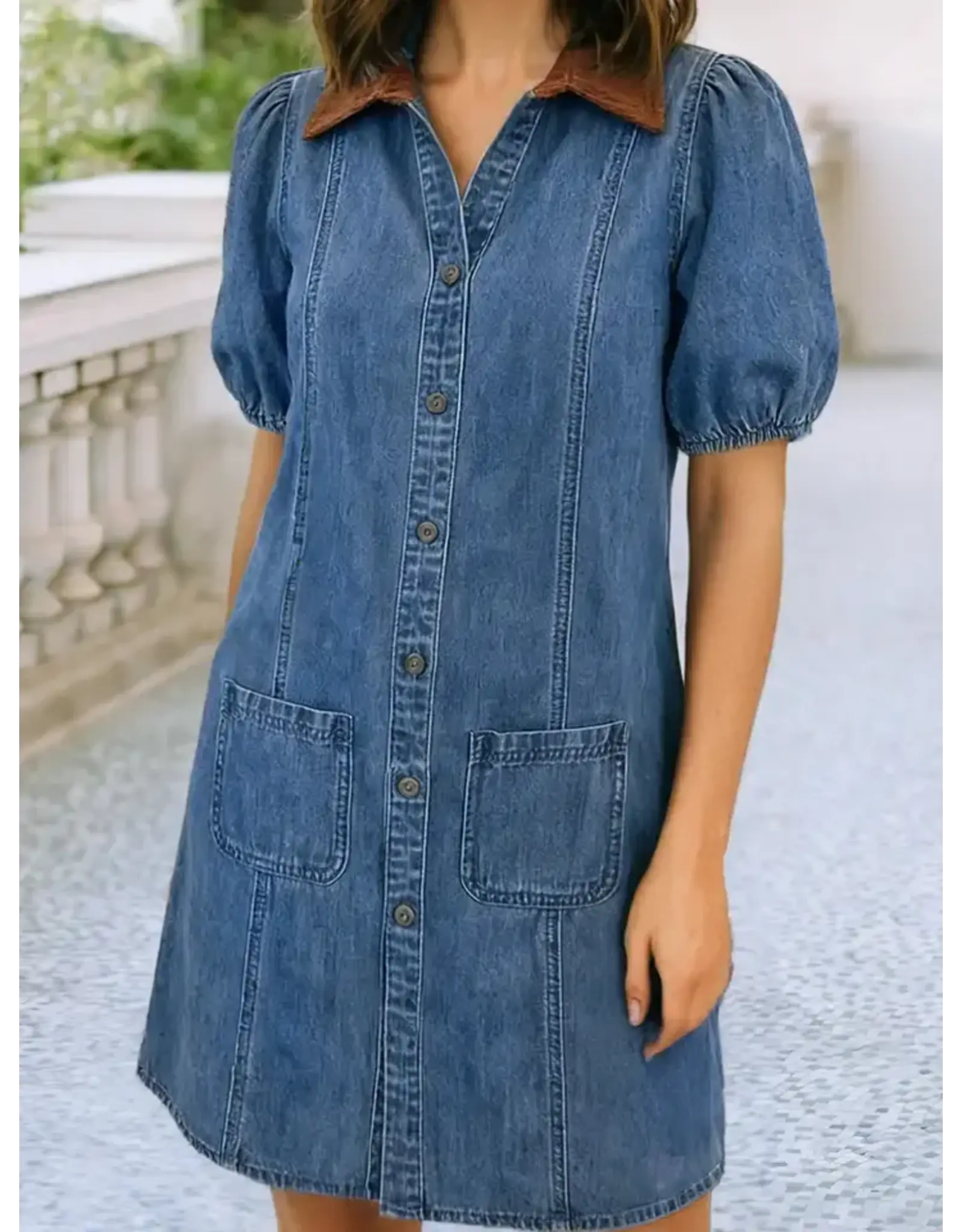 Palmer Denim Dress