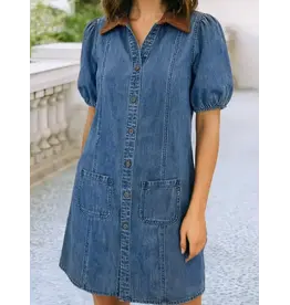 Palmer Denim Dress