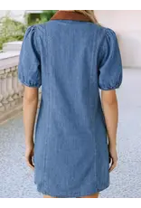 Palmer Denim Dress