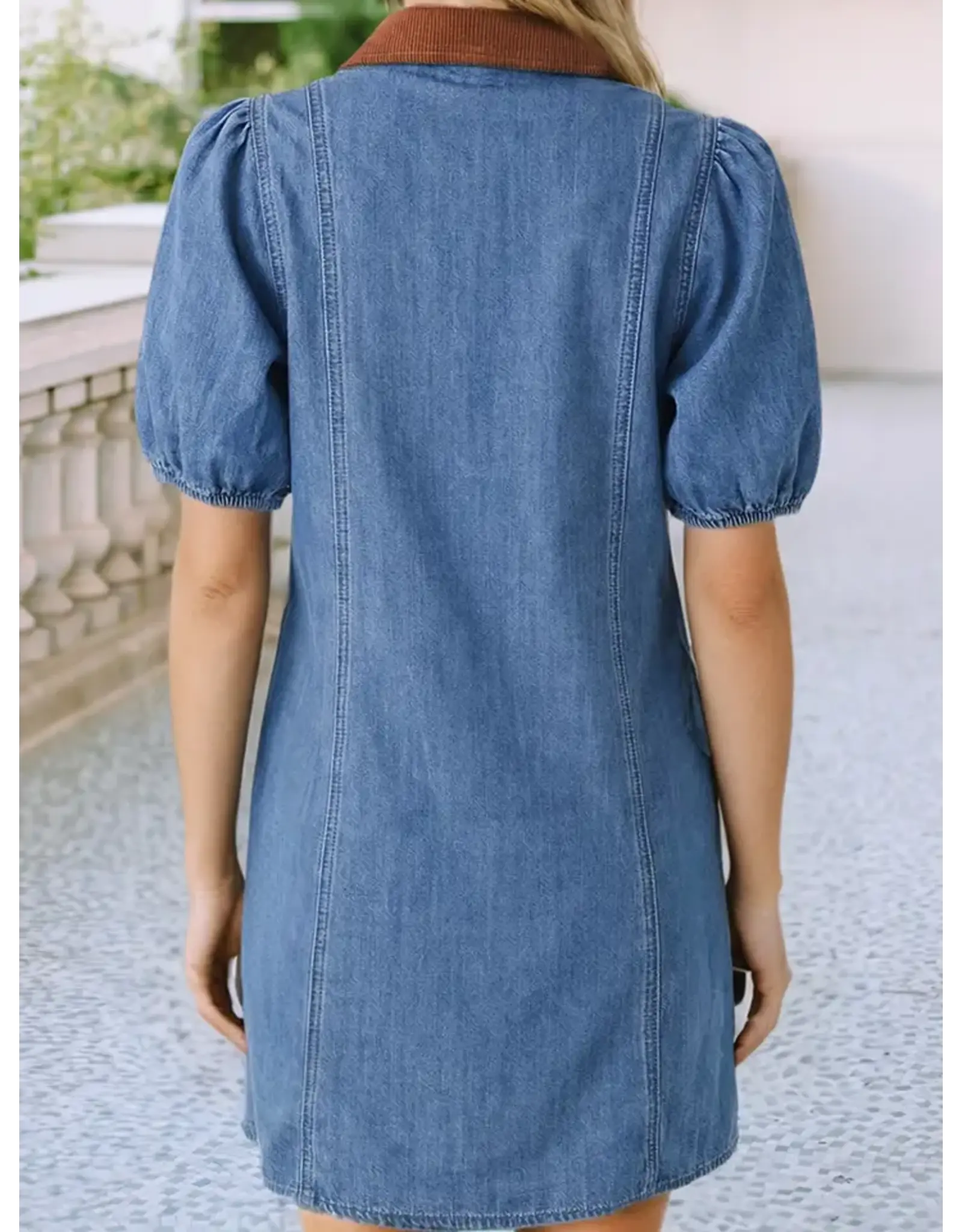 Palmer Denim Dress