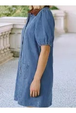 Palmer Denim Dress