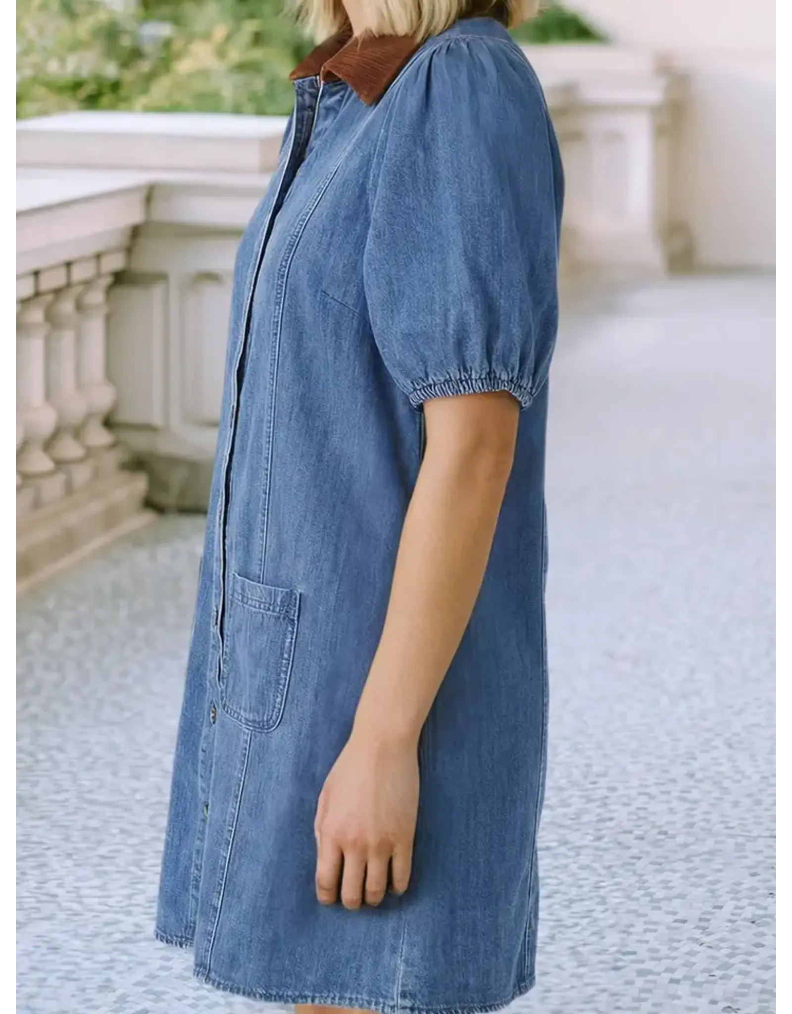Palmer Denim Dress