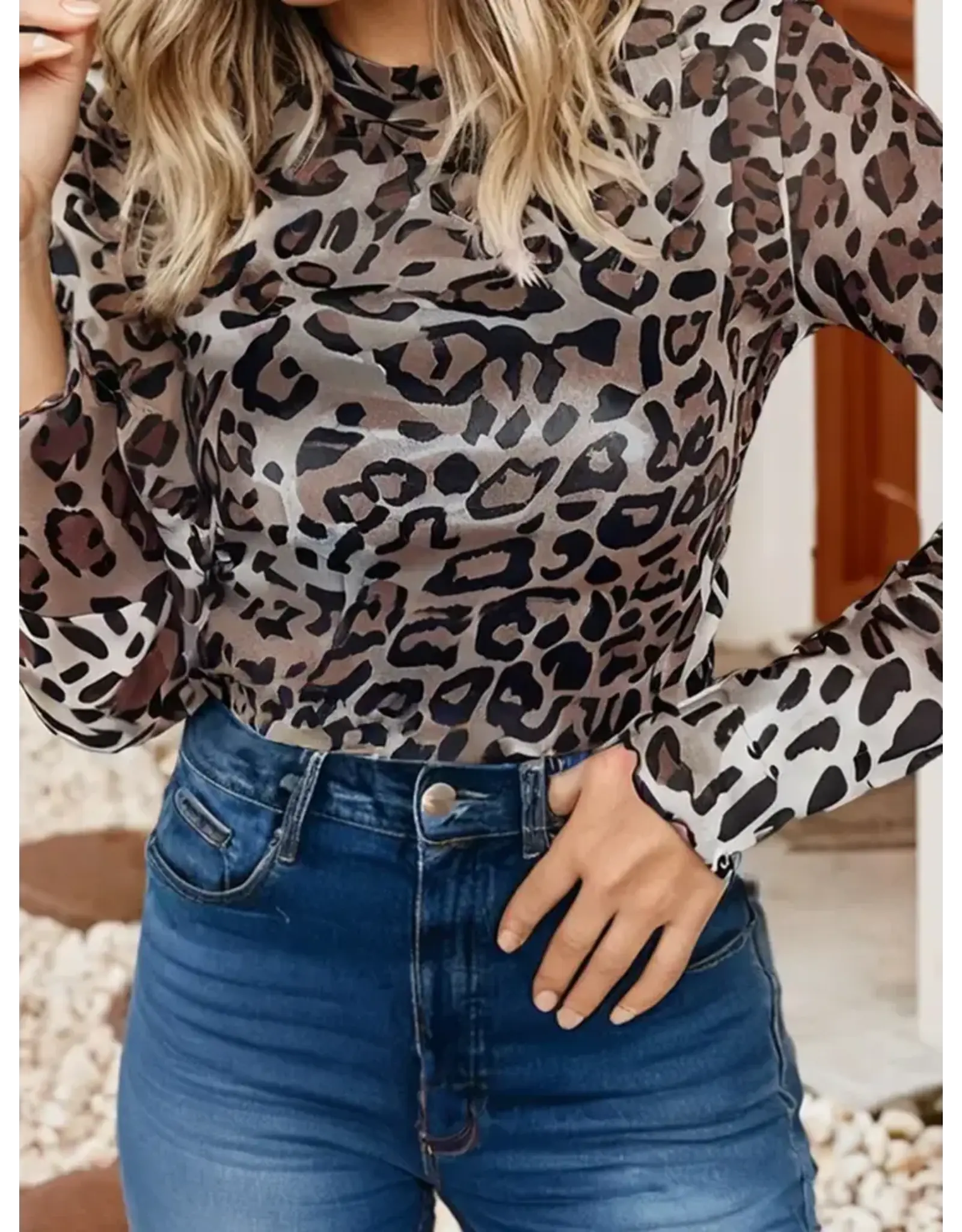 Remi Leopard Mesh Long Sleeve Top