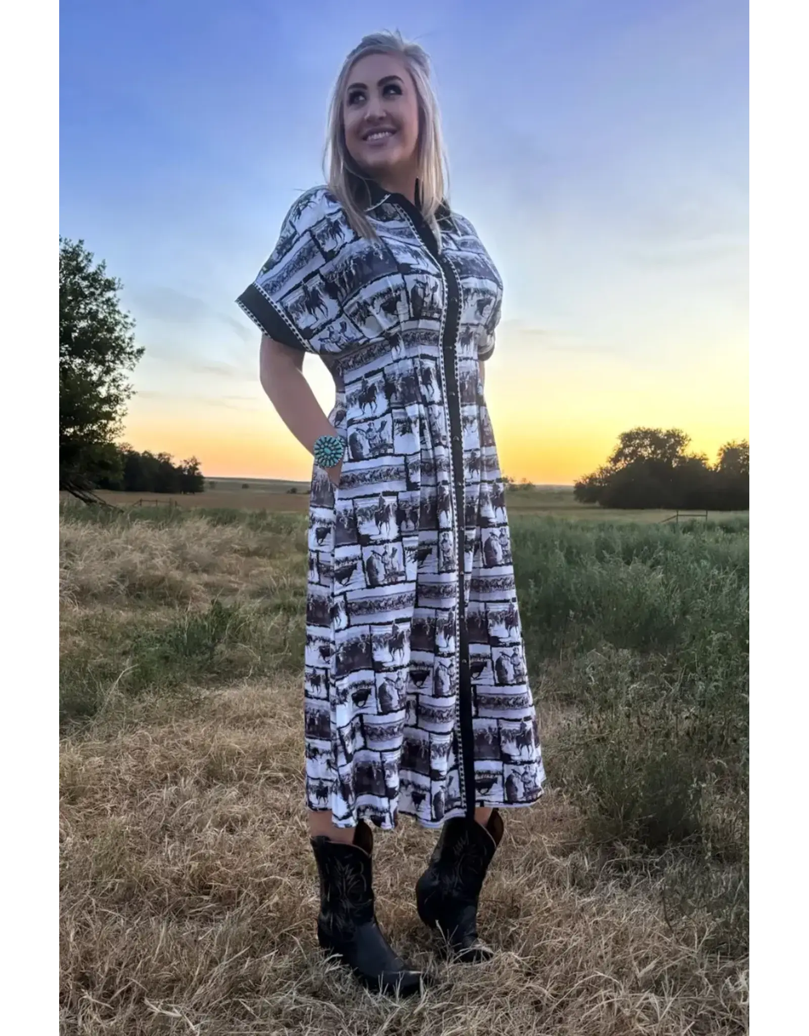 Ranch Sketch Dress
