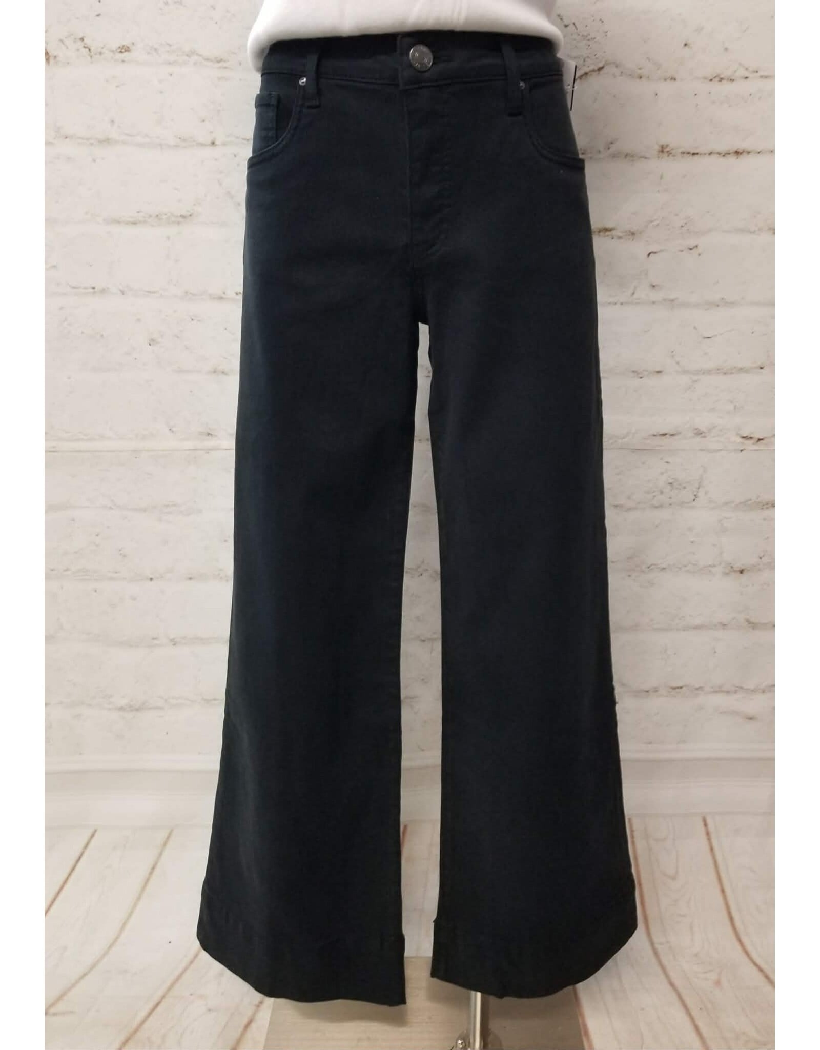 Kut from the Kloth / STS Blue KUT Maya High Rise Fab Ab Wide Leg Jean Celebrating