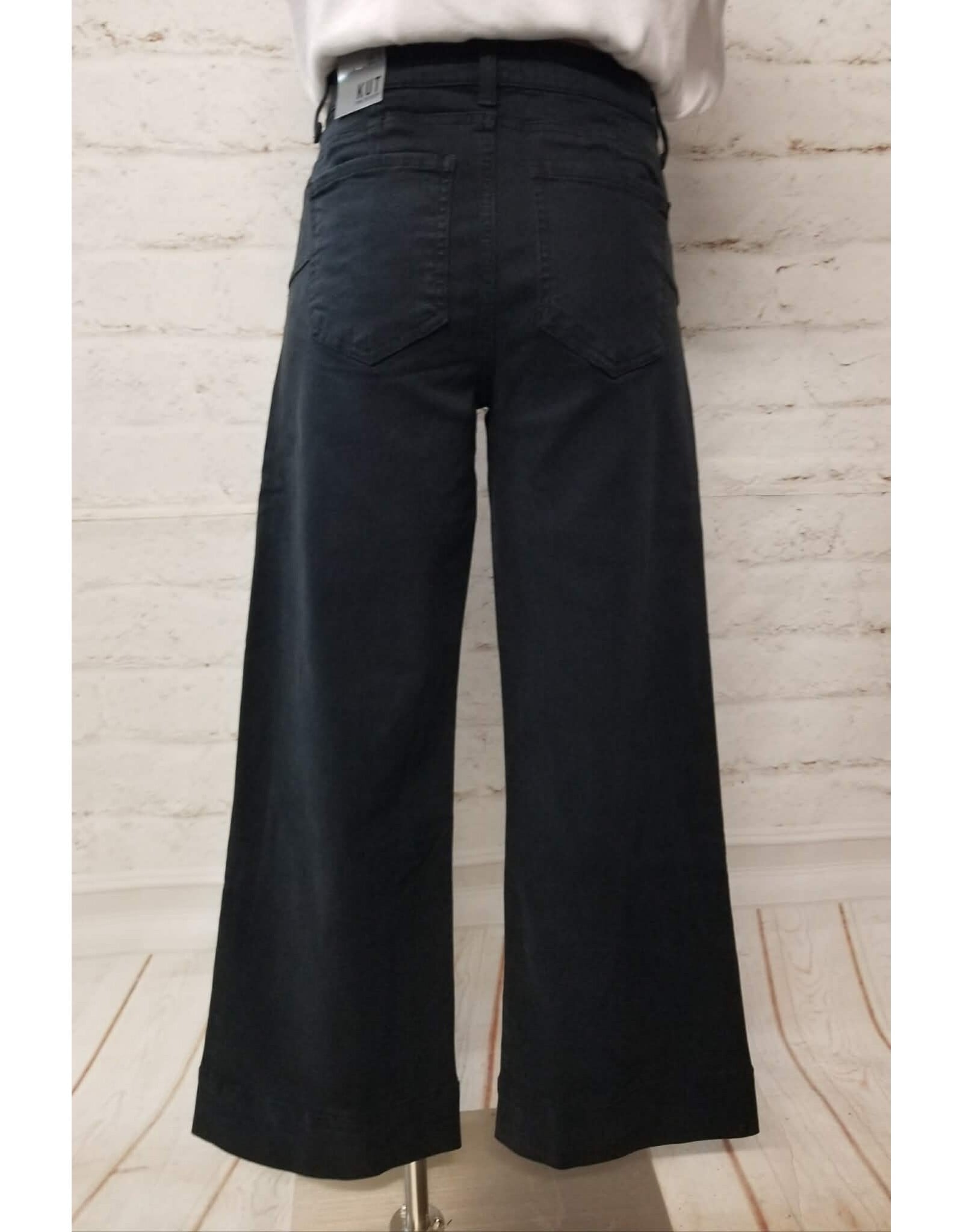 Kut from the Kloth / STS Blue KUT Maya High Rise Fab Ab Wide Leg Jean Celebrating