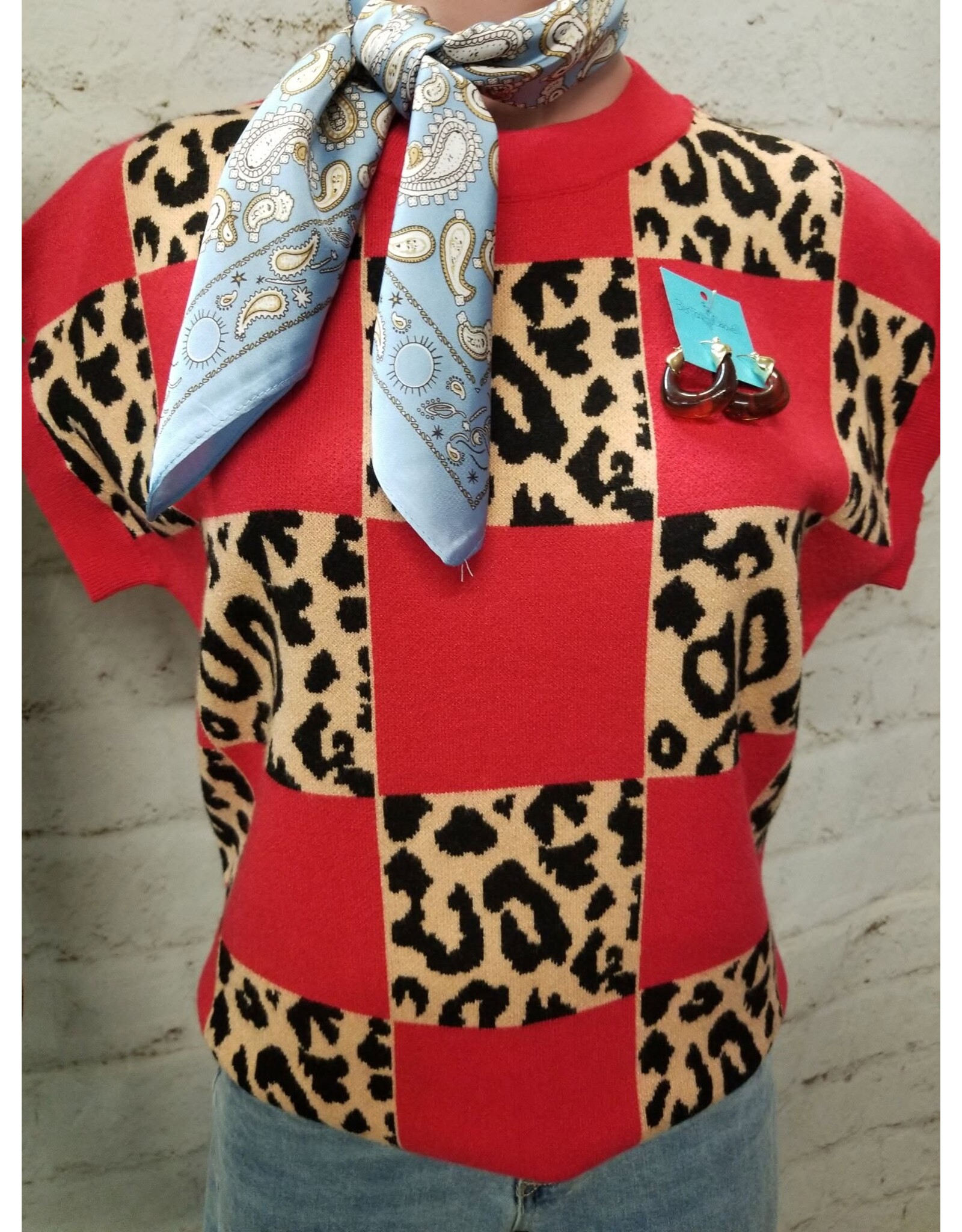 Ruthie Leopard Checkerboard Sweater